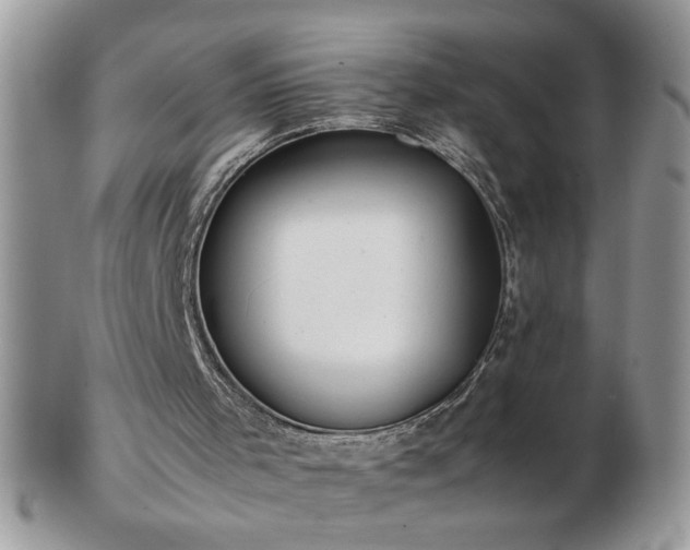 X0000102820001200808251121