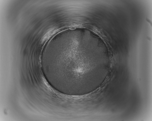 X0000102820002200808251121