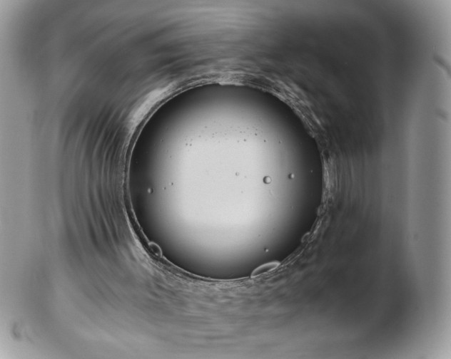 X0000102820003200808251121