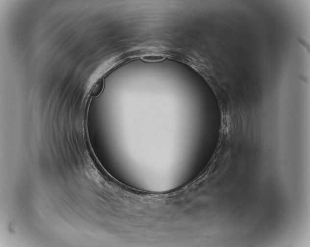 X0000102820004200808251121