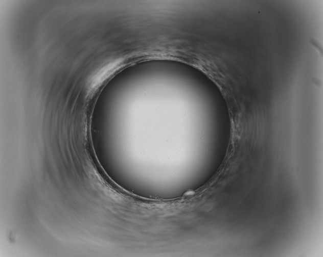 X0000102820005200808251121
