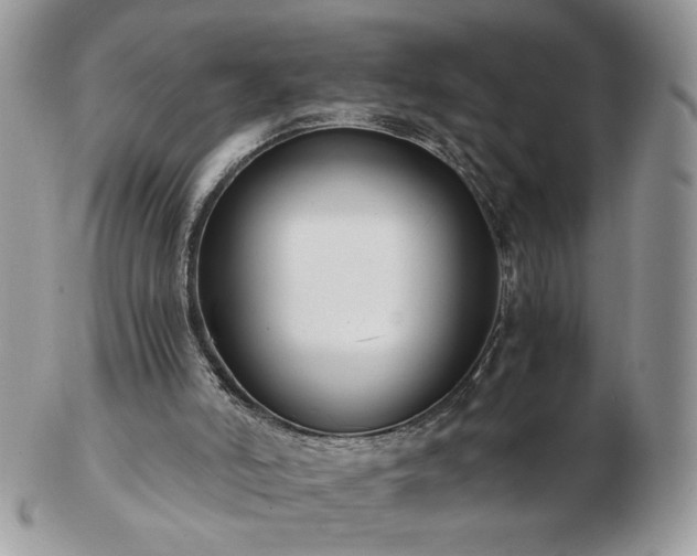 X0000102820006200808251121
