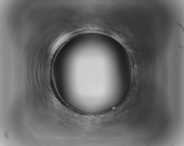 X0000102820007200808251121