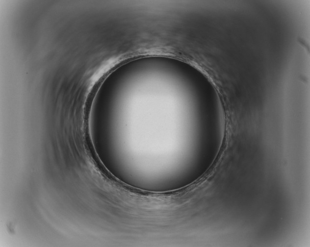 X0000102820008200808251121