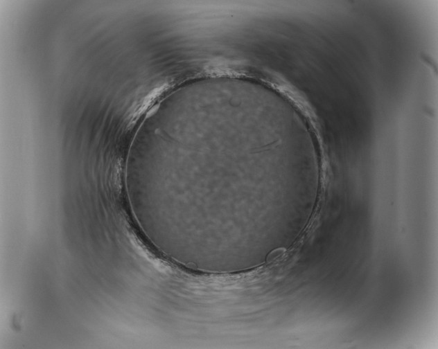 X0000102820009200808251121