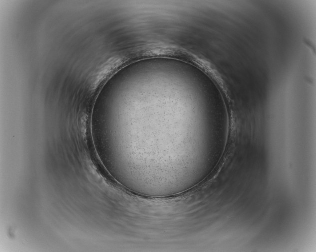 X0000102820010200808251121