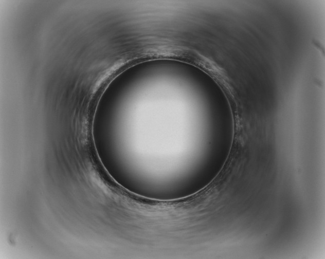 X0000102820012200808251121
