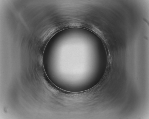 X0000102820013200808251121