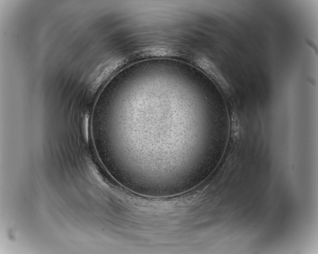 X0000102820014200808251121