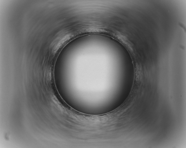 X0000102820015200808251121