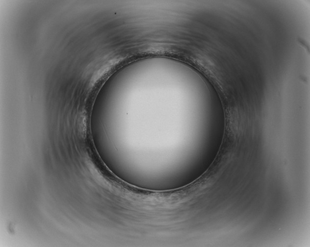 X0000102820016200808251121