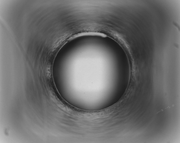 X0000102820017200808251121