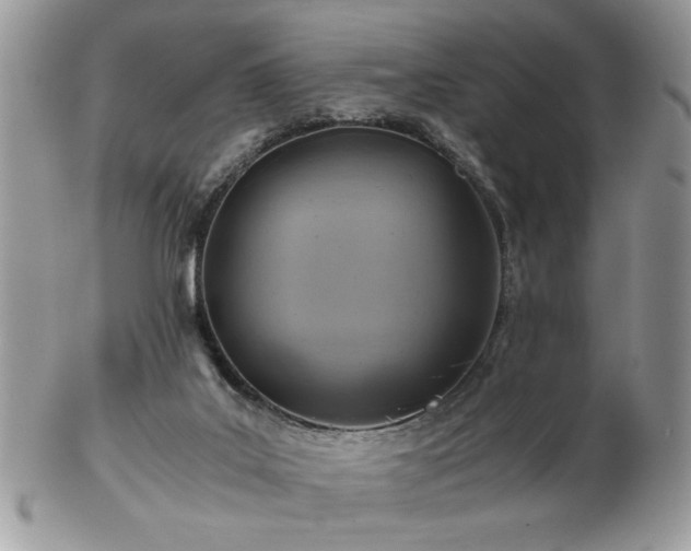 X0000102820019200808251121