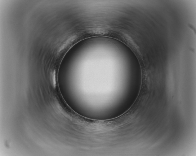 X0000102820020200808251121