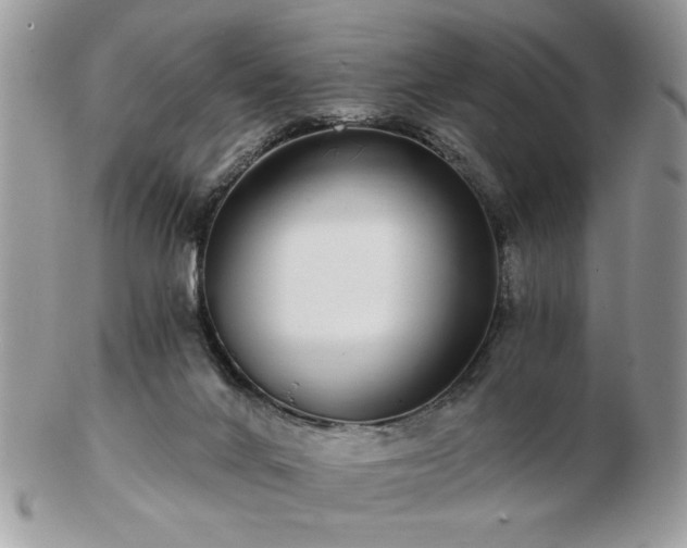 X0000102820024200808251121