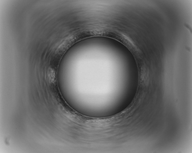 X0000102820025200808251121