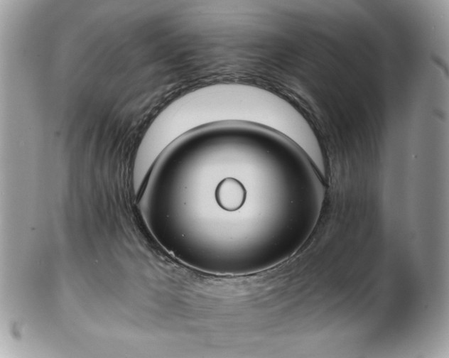 X0000102820029200808251121