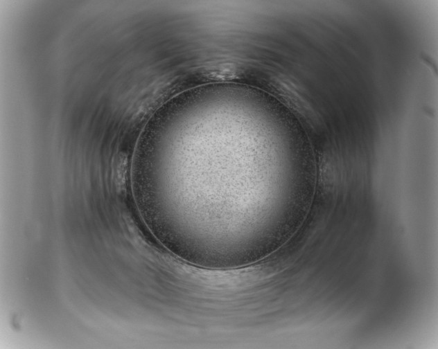 X0000102820030200808251121