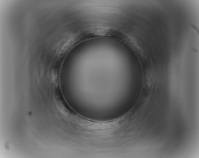 X0000102820031200808251121