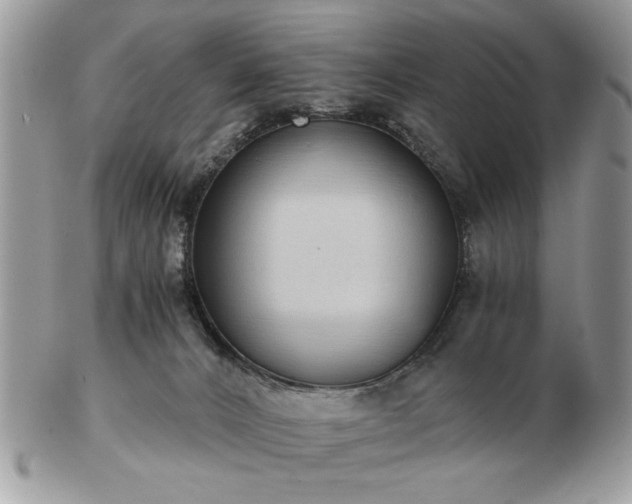 X0000102820032200808251121
