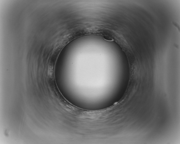 X0000102820033200808251121