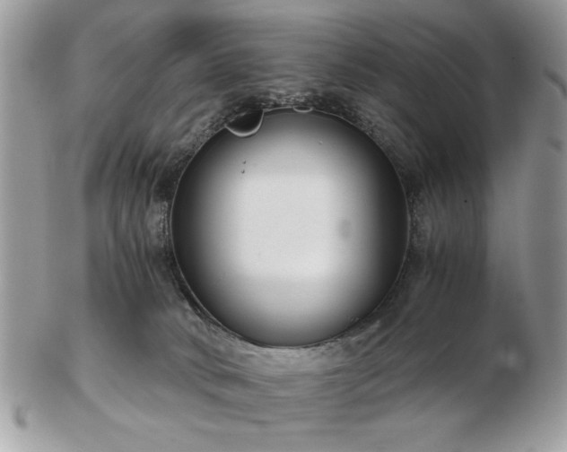 X0000102820034200808251121