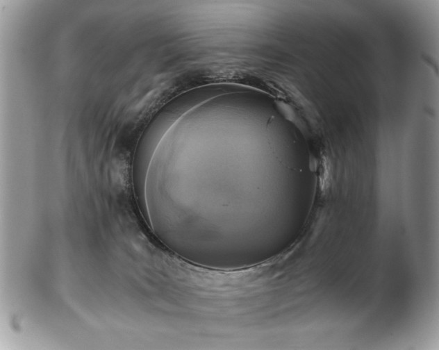 X0000102820035200808251121