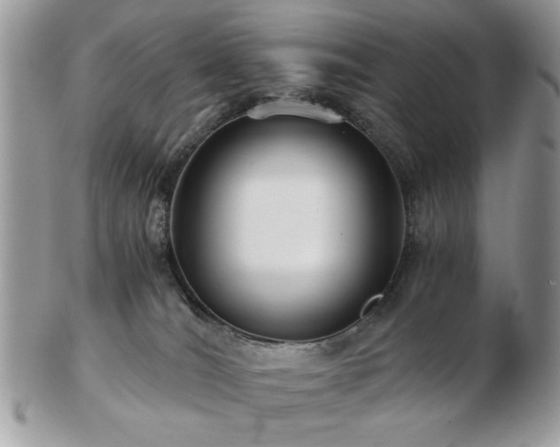 X0000102820036200808251121