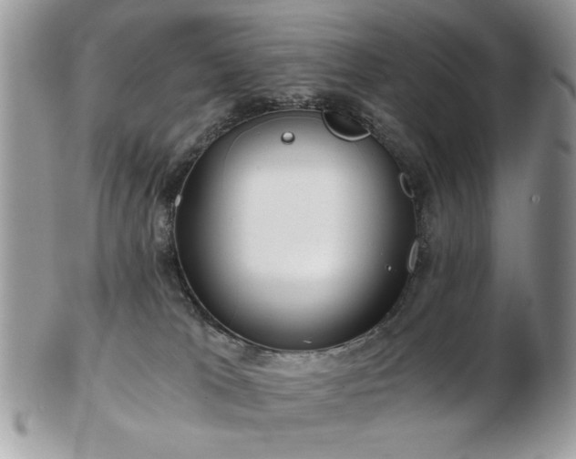 X0000102820037200808251121