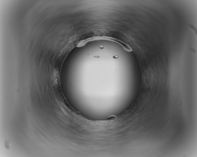 X0000102820038200808251121