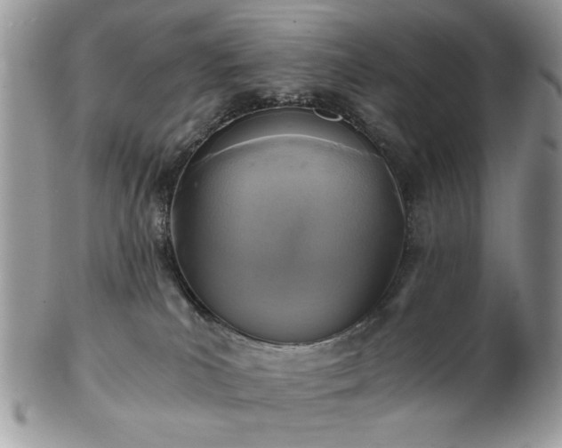 X0000102820039200808251121