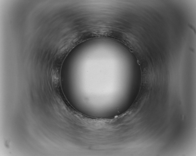 X0000102820040200808251121