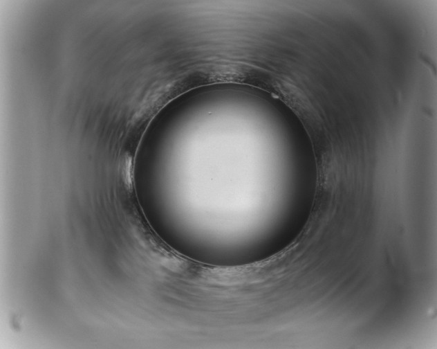 X0000102820041200808251121