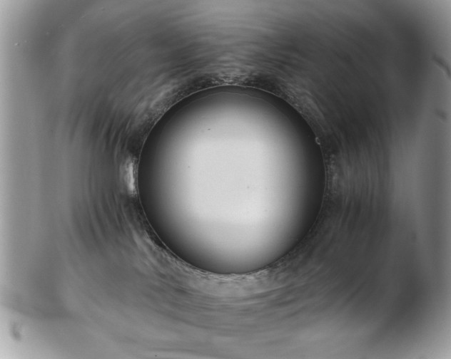 X0000102820042200808251121