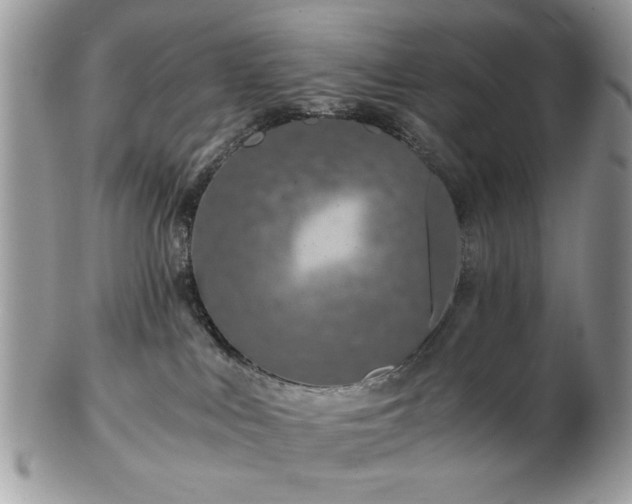 X0000102820043200808251121
