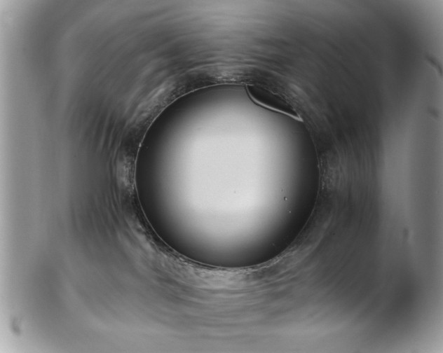 X0000102820044200808251121