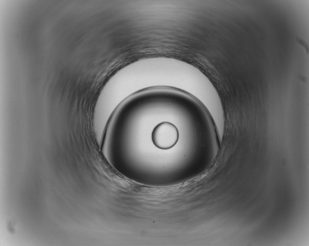 X0000102820045200808251121