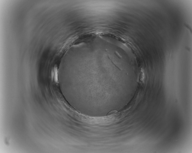 X0000102820046200808251121