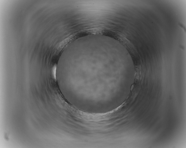 X0000102820047200808251121