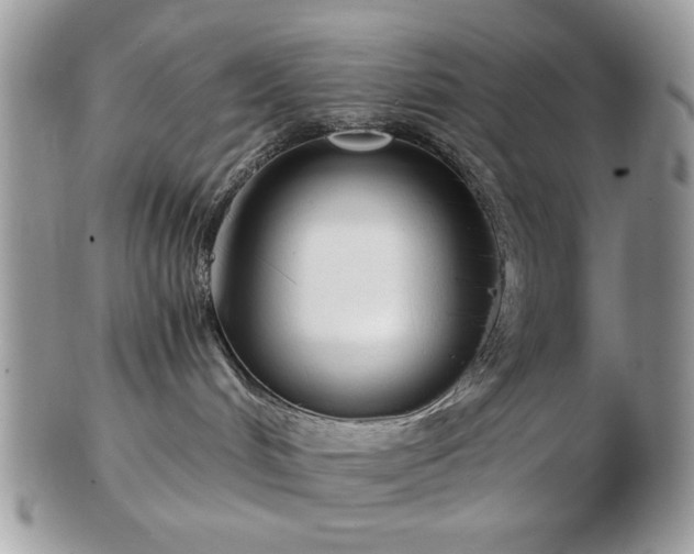 X0000102820048200808251121