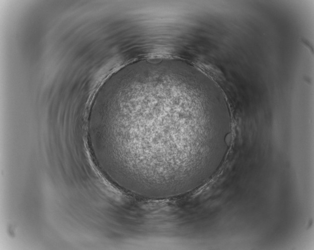 X0000102820049200808251120