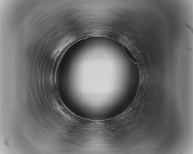 X0000102820050200808251120
