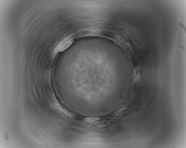 X0000102820051200808251120