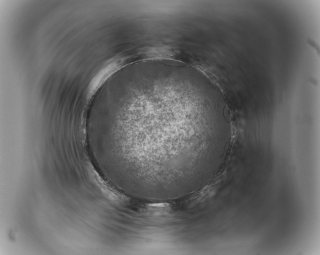 X0000102820053200808251120