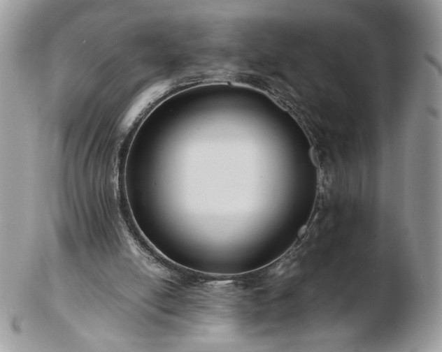 X0000102820054200808251120
