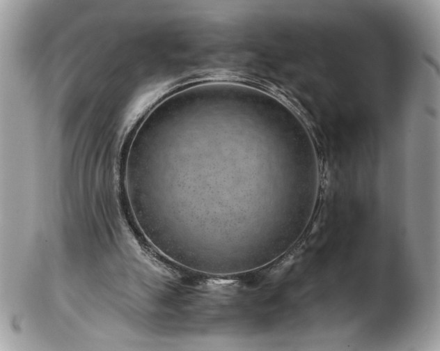 X0000102820055200808251120