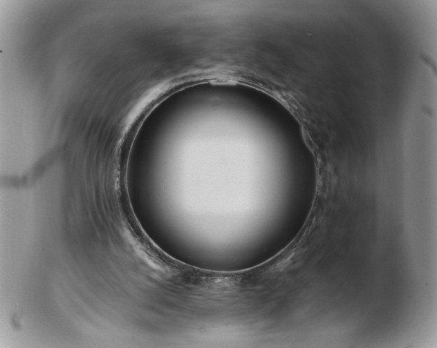 X0000102820056200808251120