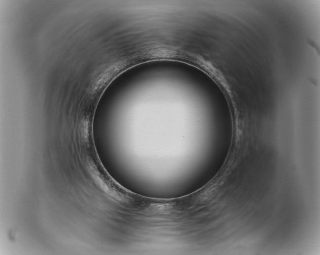 X0000102820057200808251120