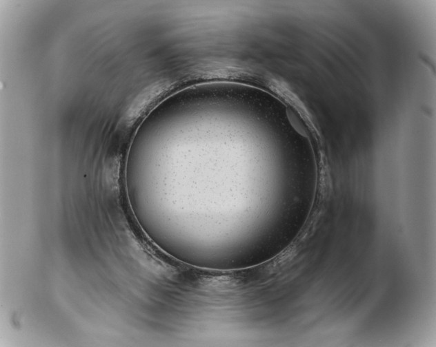 X0000102820058200808251120