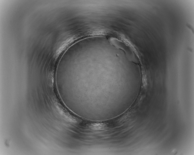 X0000102820059200808251120